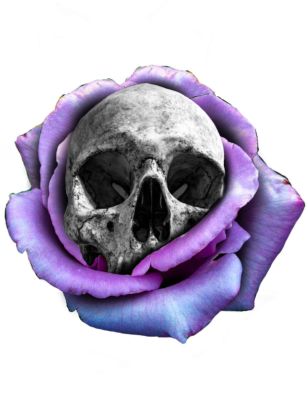 Black and grey skull inside of a purple rose.