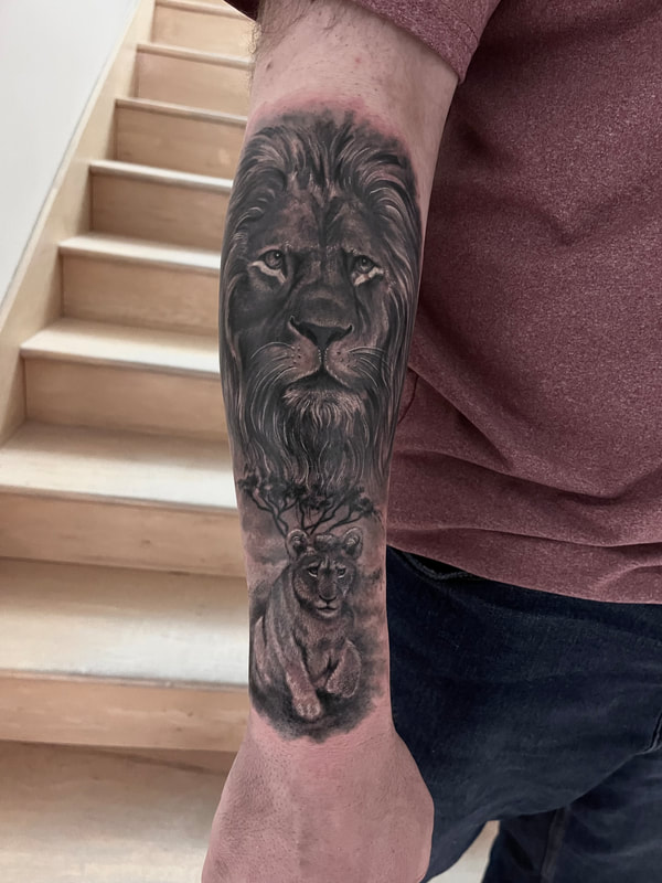 Black and grey realistic tattoo of a male lion in the clouds, a tree of life, and lion cub, similar to The Lion King, on a forearm.