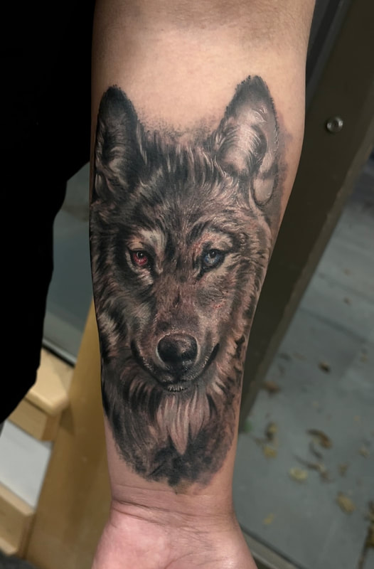 Black and grey color infused wolf face tattoo with one brown eye and one blue eye on a man's arm.