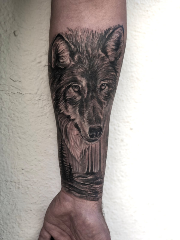 Realistic black and gray wolf portrait tattoo with trees on forearm.