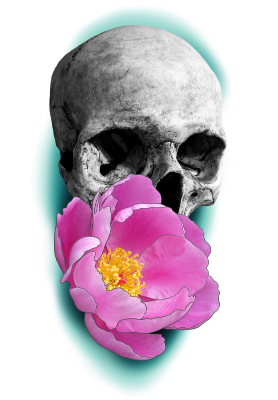 Black and grey skull with pink flower and blue background.