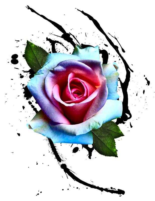 Pink, purple, and blue rose with green leaves and black paint splash.