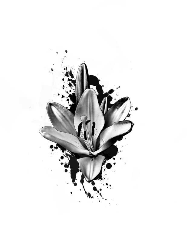 Black and grey lily with black paint splash background.