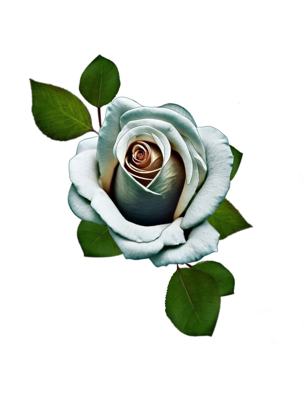 White and grey rose with green leaves.