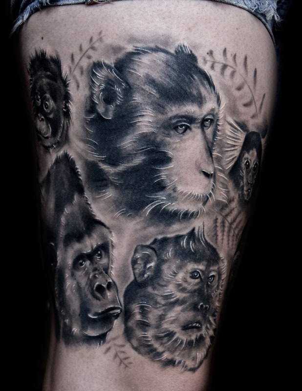 Realistic black and grey thigh tattoo of a gorilla, chimpanzee, marmoset, and crab eating Macaque.